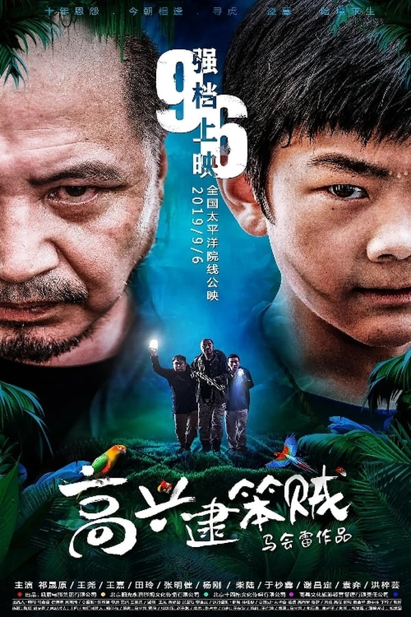 Cover of the movie 高兴逮笨贼