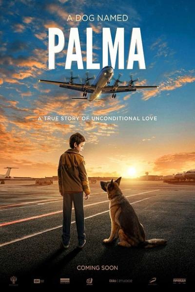 Cover of the movie A Dog Named Palma