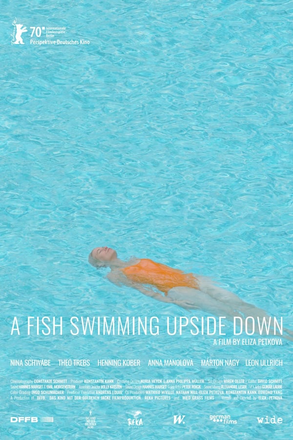 Cover of the movie A Fish Swimming Upside Down