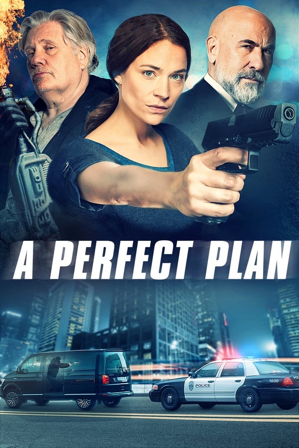 Cover of the movie A Perfect Plan