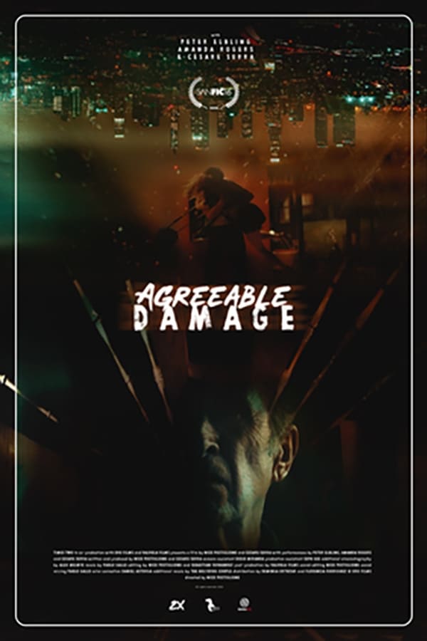Cover of the movie Agreeable damage