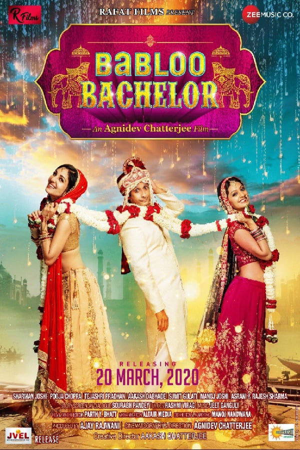 Cover of the movie Babloo Bachelor
