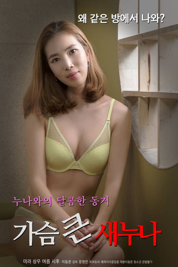 Cover of the movie Big Breasts Sister