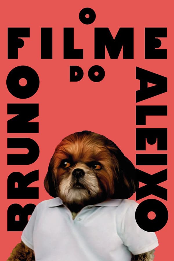 Cover of the movie Bruno Aleixo's Film