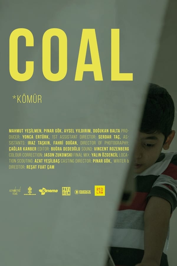 Cover of the movie Coal