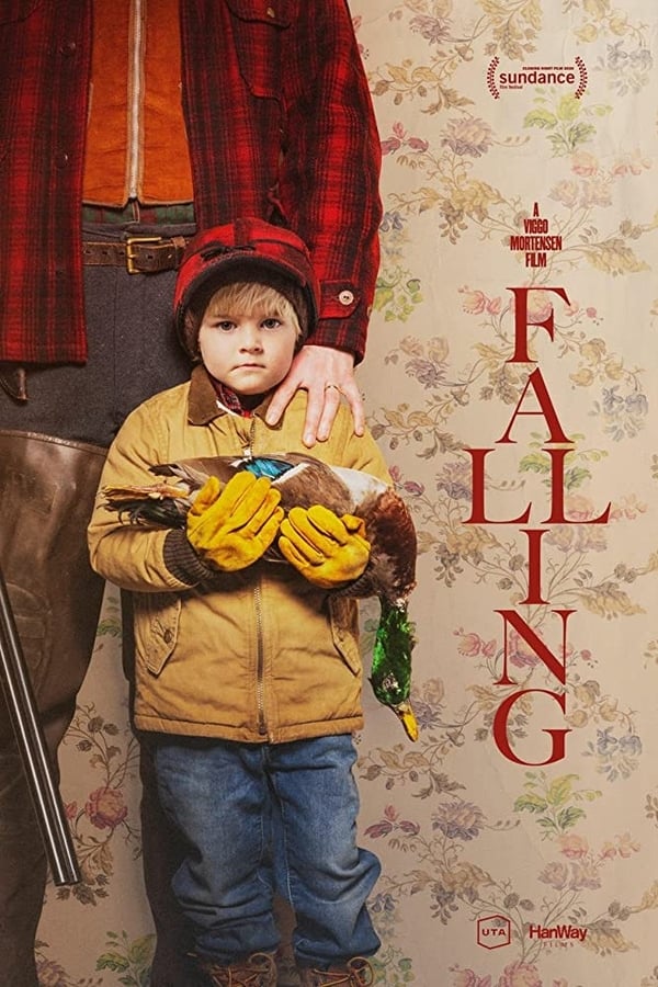 Cover of the movie Falling