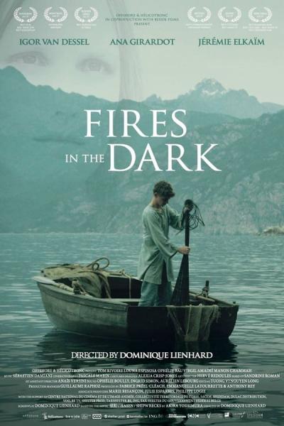 Cover of Fires in the Dark