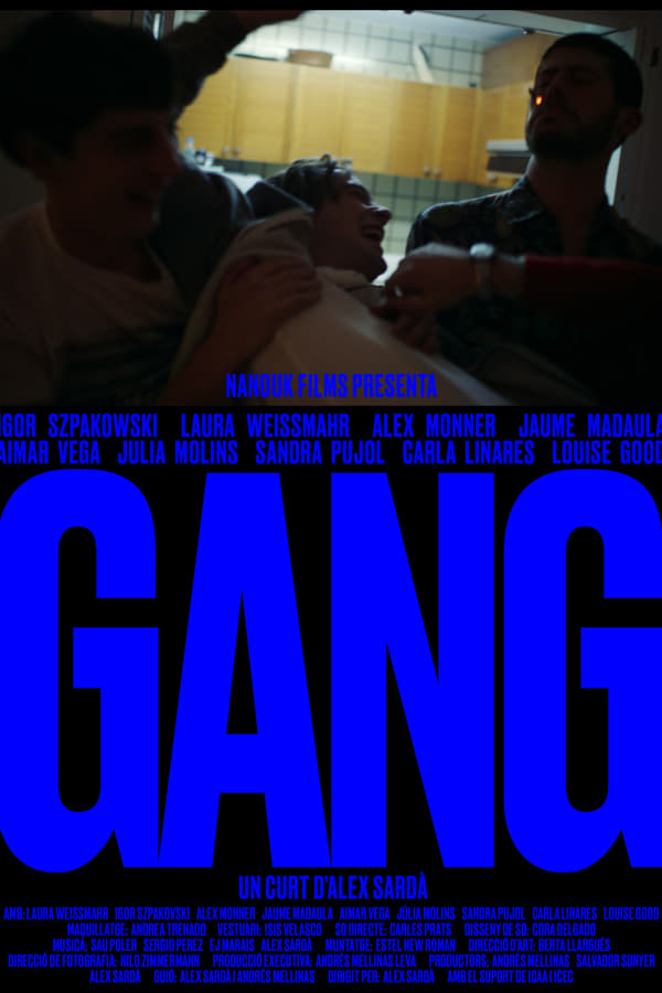 Cover of the movie GANG