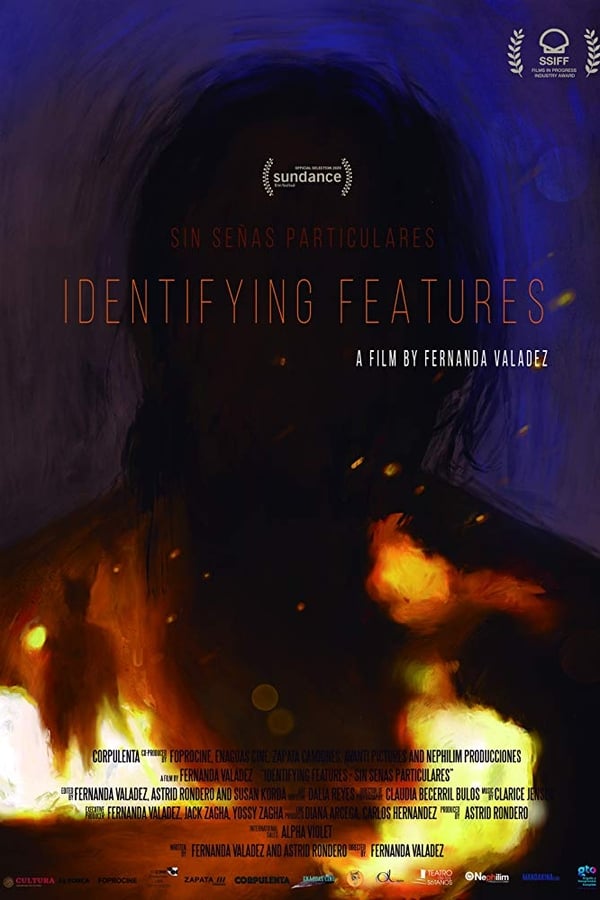 Cover of the movie Identifying Features