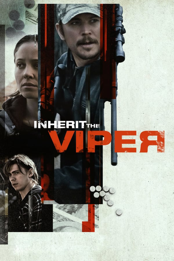 Cover of the movie Inherit the Viper