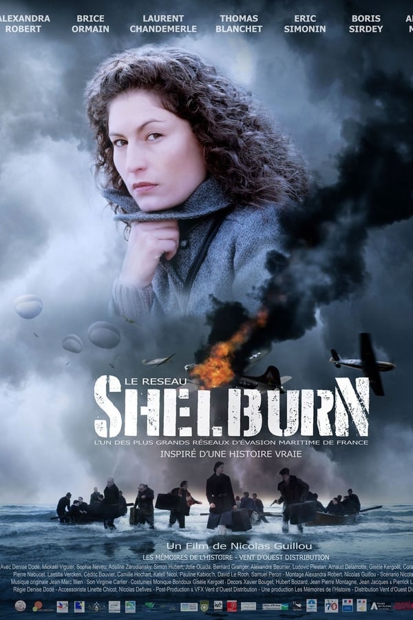 Cover of the movie Le réseau Shelburn