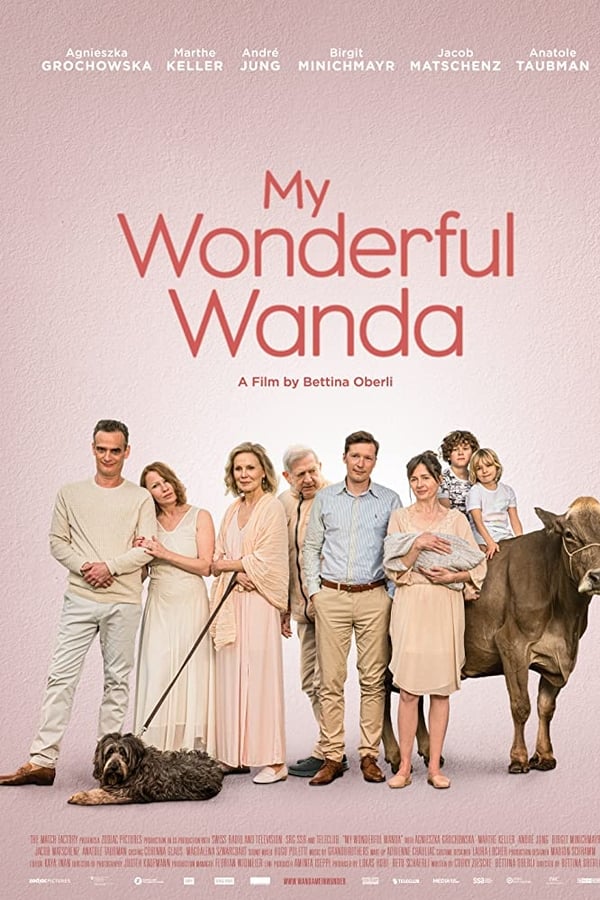 Cover of the movie My Wonderful Wanda