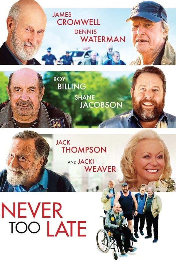 Cover of the movie Never Too Late