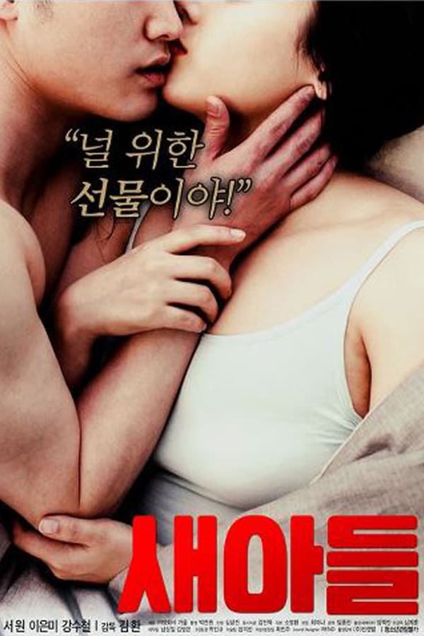 Cover of the movie New Son