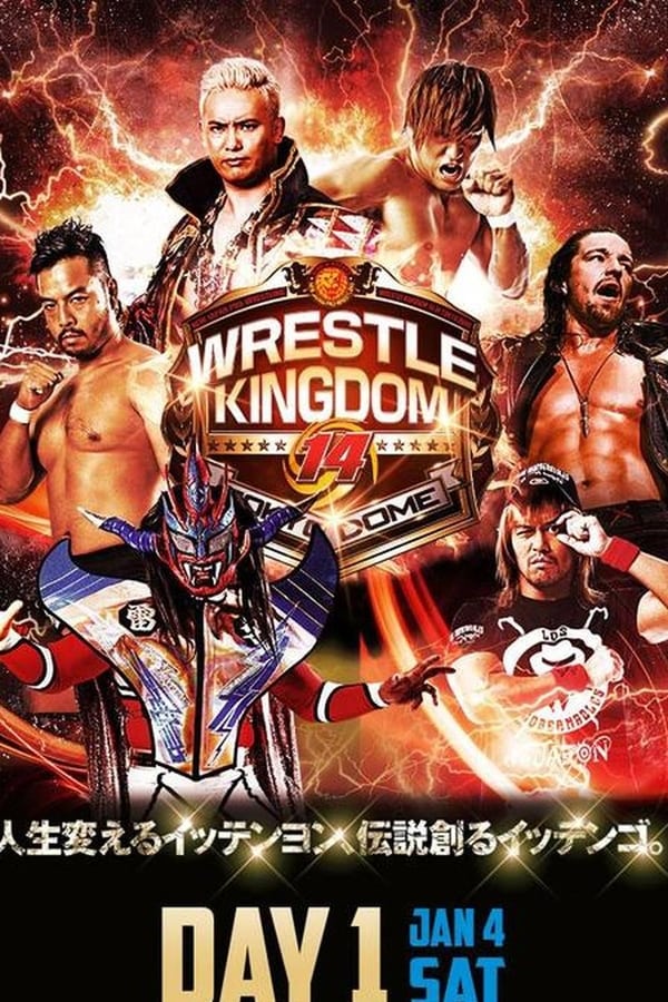 Cover of the movie NJPW Wrestle Kingdom 14: Night 1