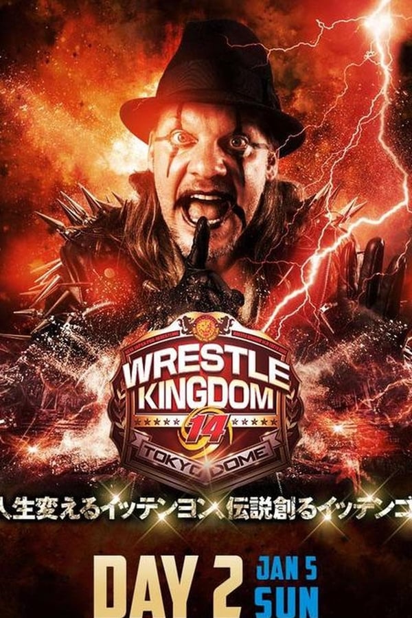 Cover of the movie NJPW Wrestle Kingdom 14: Night 2