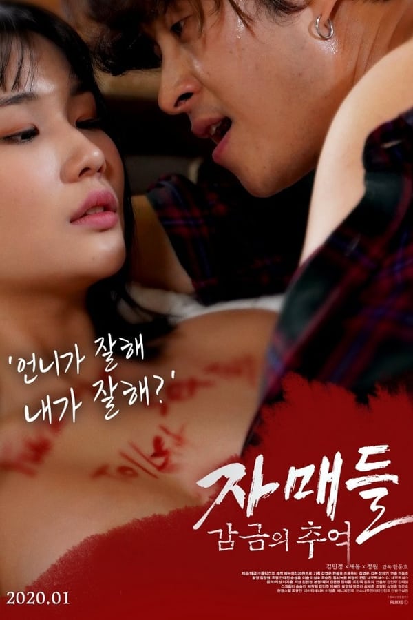 Cover of the movie Sisters: Memories of Confinement