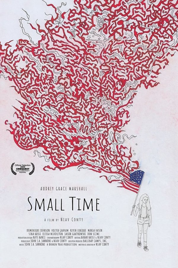 Cover of the movie Small Time