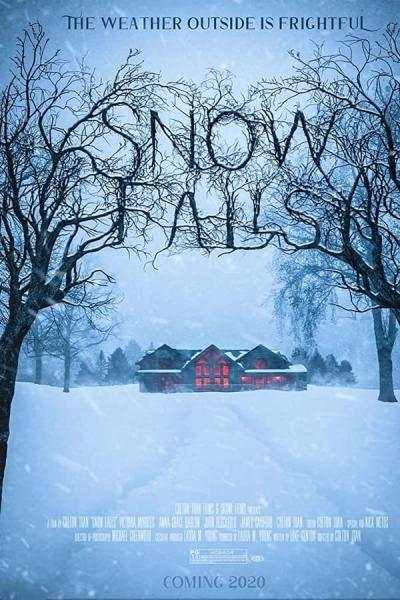 Cover of Snow Falls