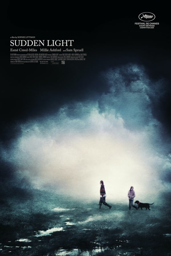 Cover of the movie Sudden Light