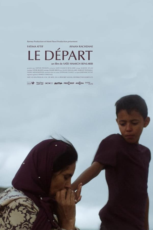 Cover of the movie The Departure