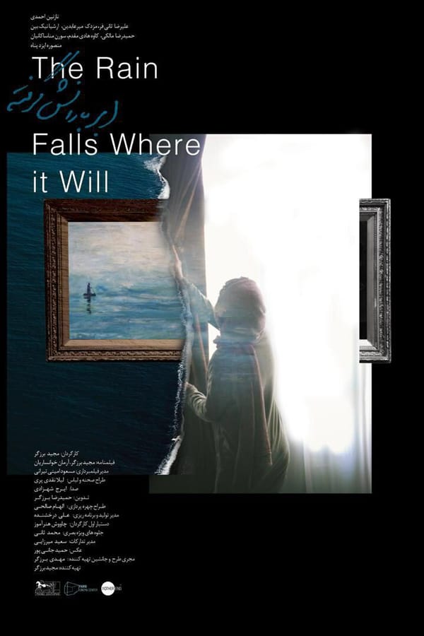 Cover of the movie The Rain Falls Where it Will