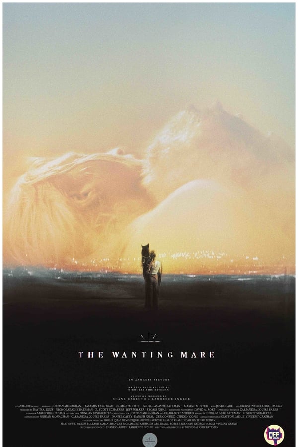 Cover of the movie The Wanting Mare