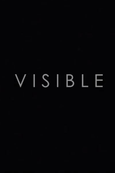 Cover of Visible