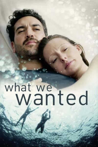 Cover of What We Wanted