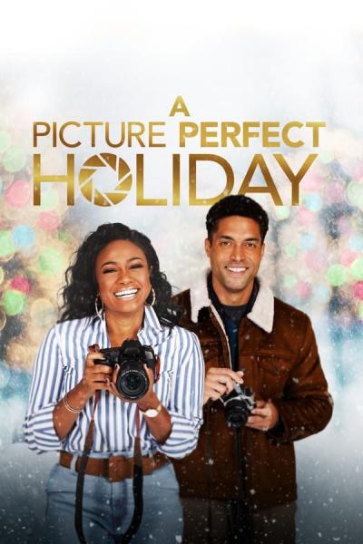 Cover of A Picture Perfect Holiday