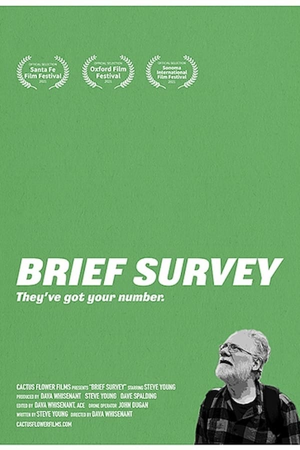 Cover of the movie Brief Survey