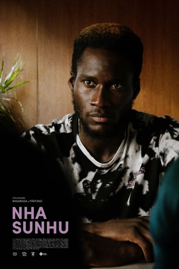 Cover of the movie Nha Sunhu