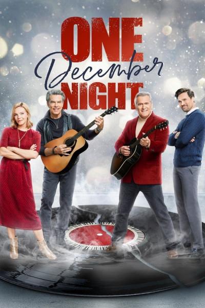 Cover of One December Night