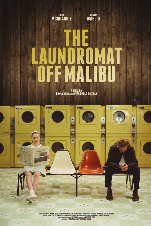 Cover of the movie The Laundromat Off Malibu