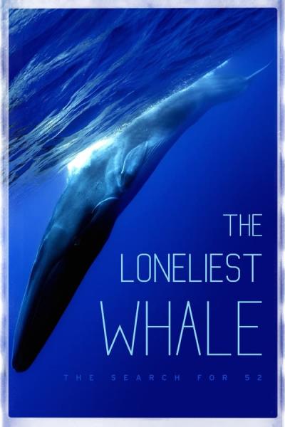 Cover of The Loneliest Whale: The Search for 52