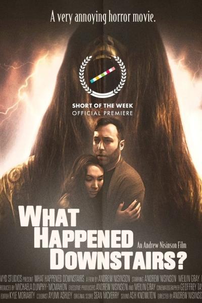 Cover of What Happened Downstairs?