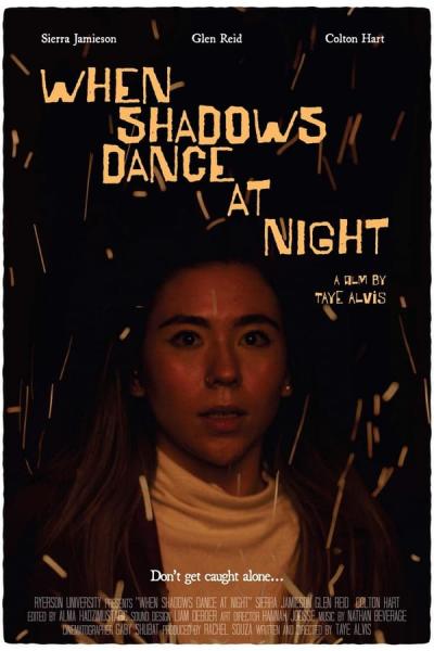 Cover of When Shadows Dance at Night