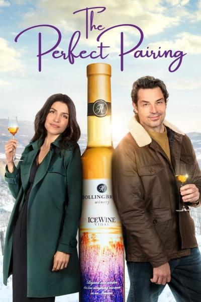 Cover of The Perfect Pairing