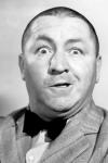 Cover of Curly Howard
