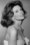 Cover of Tina Louise