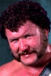 Cover of Harley Race