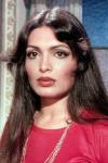 Cover of Parveen Babi