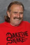 Cover of Jake Roberts