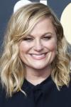 Cover of Amy Poehler
